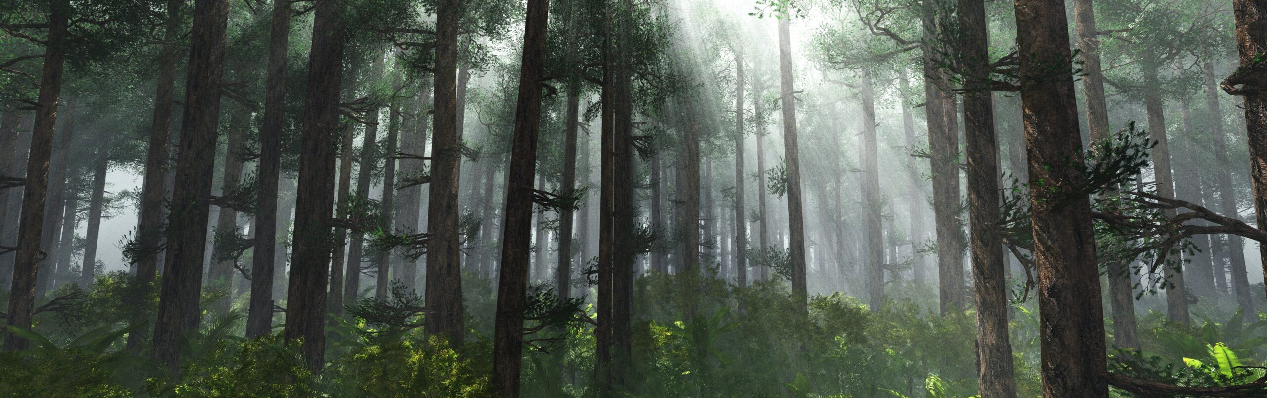 Wipfelretter-Wesermarsch